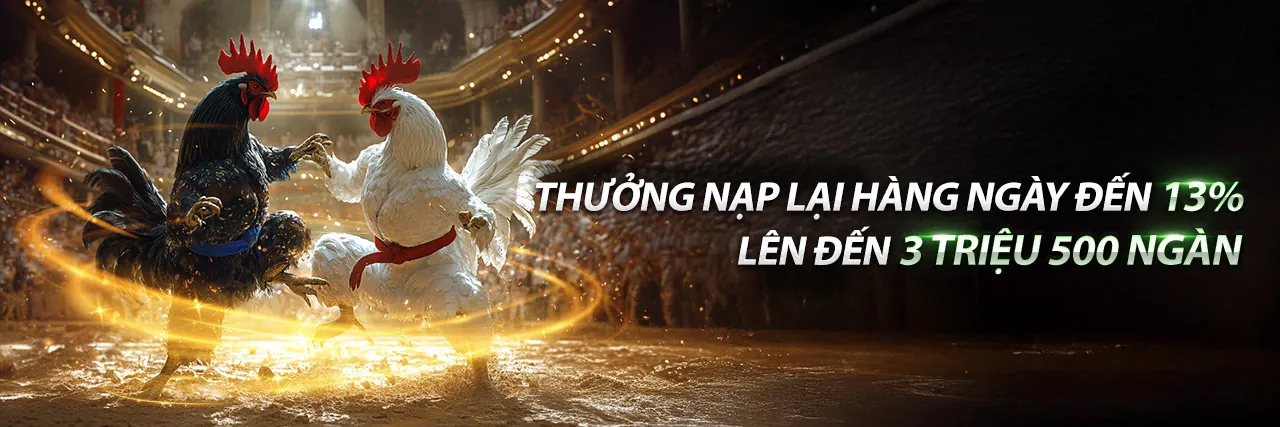 Đá gà trực tuyến mv66 win - Sân chơi đẳng cấp